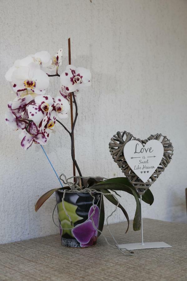 Apartment Leonora โวดีเซ ภายนอก รูปภาพ